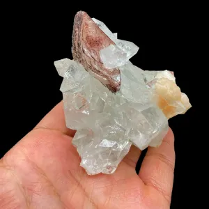 Apophyllite with Stilbite, Heulandite Natural Mineral Specimen # TUC-F18