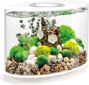 biOrb Loop 15 Acrylic 4-Gallon Aquarium with White LED Lights Modern Compact Tank for Tabletop or Desktop Display, White-Trimmed Tank