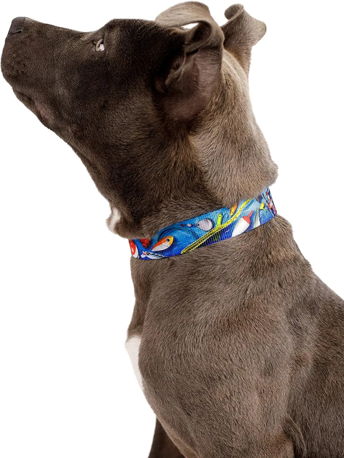 Country Brook Petz - Deluxe Gone Fishin' Dog Collar and Leash - Sports and Athletics Collection Featuring Spirited Designs (1 Inch, Large)