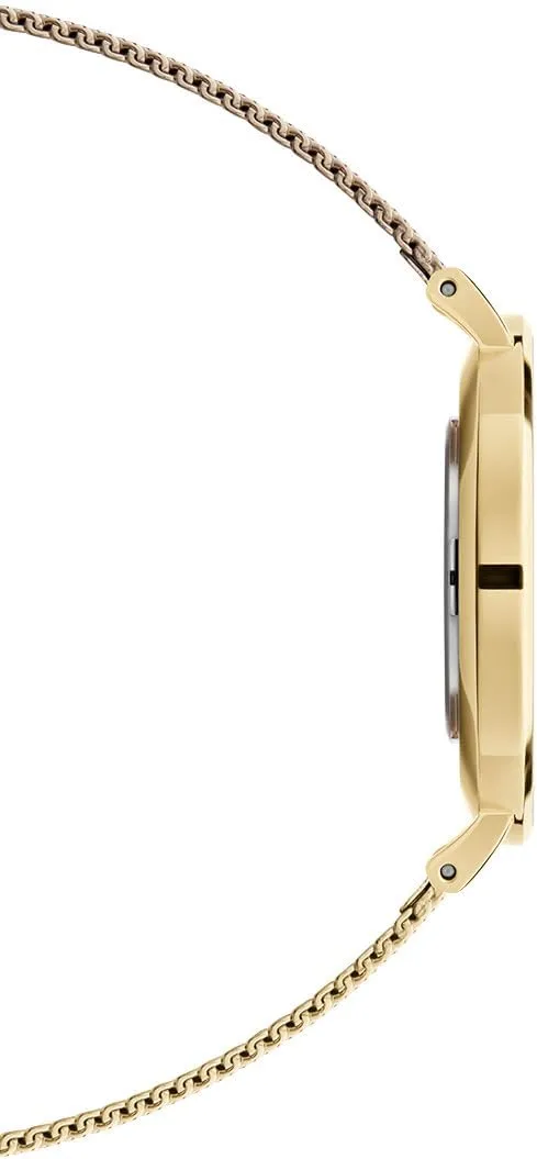 Daniel Wellington Petite Evergold Women’s Watch – Japanese Quartz Movement, Stainless Steel Mesh Strap, Water Resistant, Gold Watch for Women
