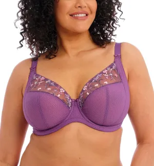 Elomi Women's Plunge