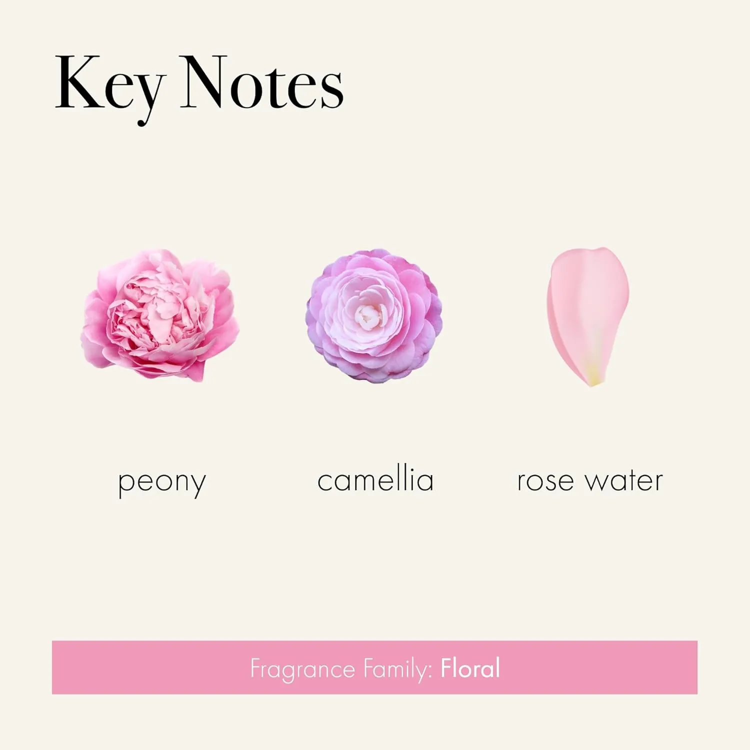 LAFCO New York Reed Diffuser Refill, Duchess Peony - 8.4 oz - Up to 4-Month Fragrance Life - Includes Natural Wood Reeds - Free of Dyes & Propellants - Made in the USA