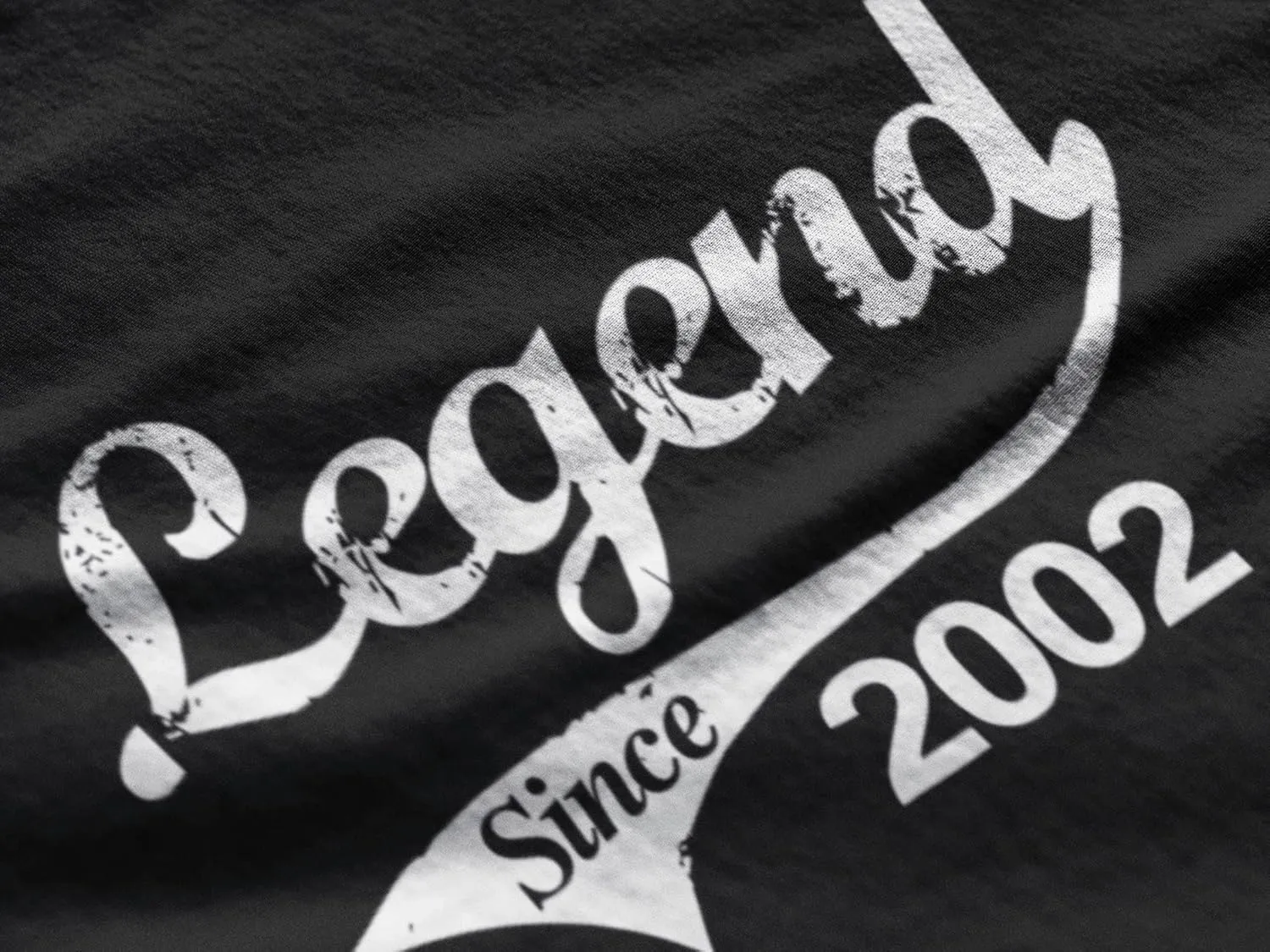 Men's Graphic T-Shirt V Neck Legend Since 2002 22nd Birthday Anniversary 22 Year Old Gift 2002 Vintage