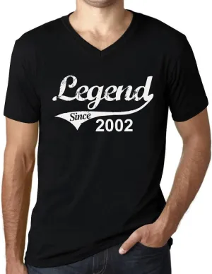 Men's Graphic T-Shirt V Neck Legend Since 2002 22nd Birthday Anniversary 22 Year Old Gift 2002 Vintage