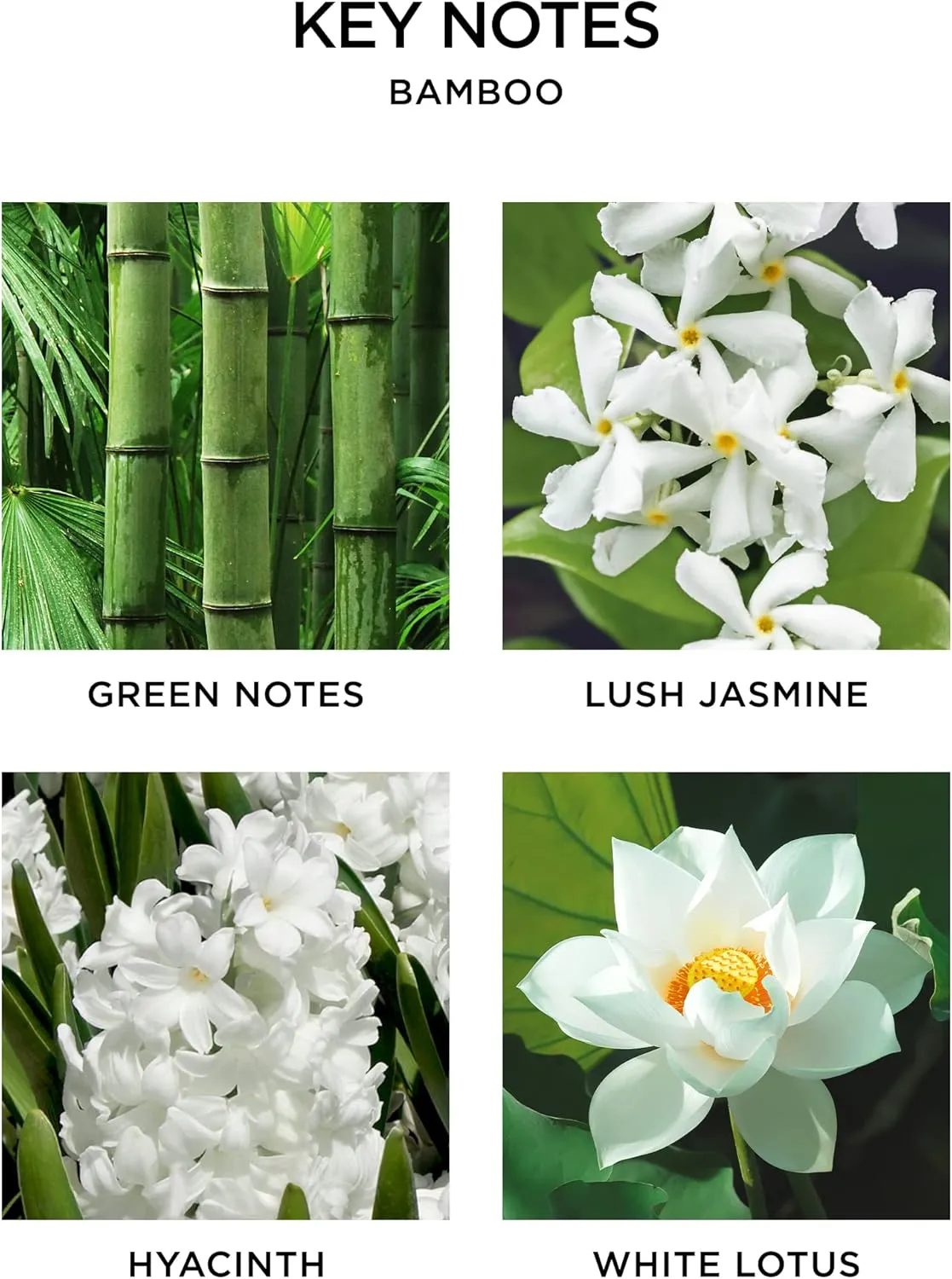 NEST New York Wall Diffuser Refill Vials, Bamboo - Set of 2 - Up to 60 Days of Continuous Scent - Cruelty Free, Vegan - Made in USA