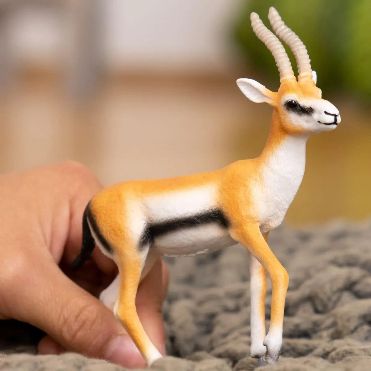 Schleich Wild Life New 2023, Wild Animal Safari Toys for Boys and Girls, Thomson Gazelle Toy Figurine, Ages 3 