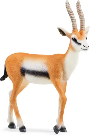 Schleich Wild Life New 2023, Wild Animal Safari Toys for Boys and Girls, Thomson Gazelle Toy Figurine, Ages 3 
