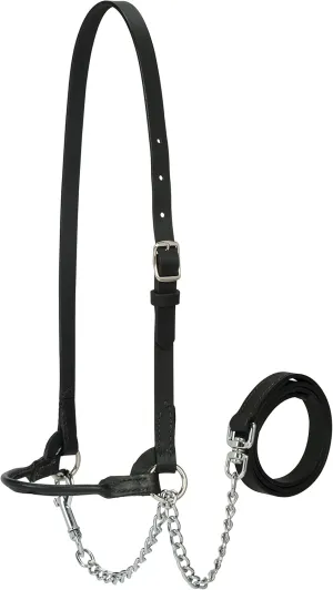 Weaver Leather Livestock Dairy Halter, X-Small, Black