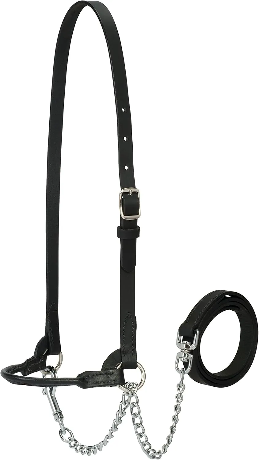 Weaver Leather Livestock Dairy Halter, X-Small, Black