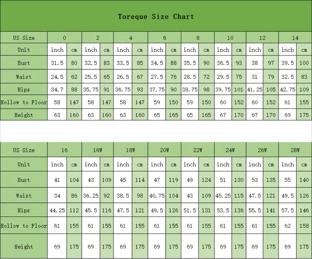 Women's Homecoming Dresses Spaghetti Strap Short Flower Embroidery Tulle Formal Dresses